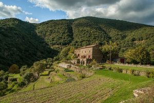 Les campings de luxe dans les Cévennes, pour un séjour haut de gamme au cœur de la nature